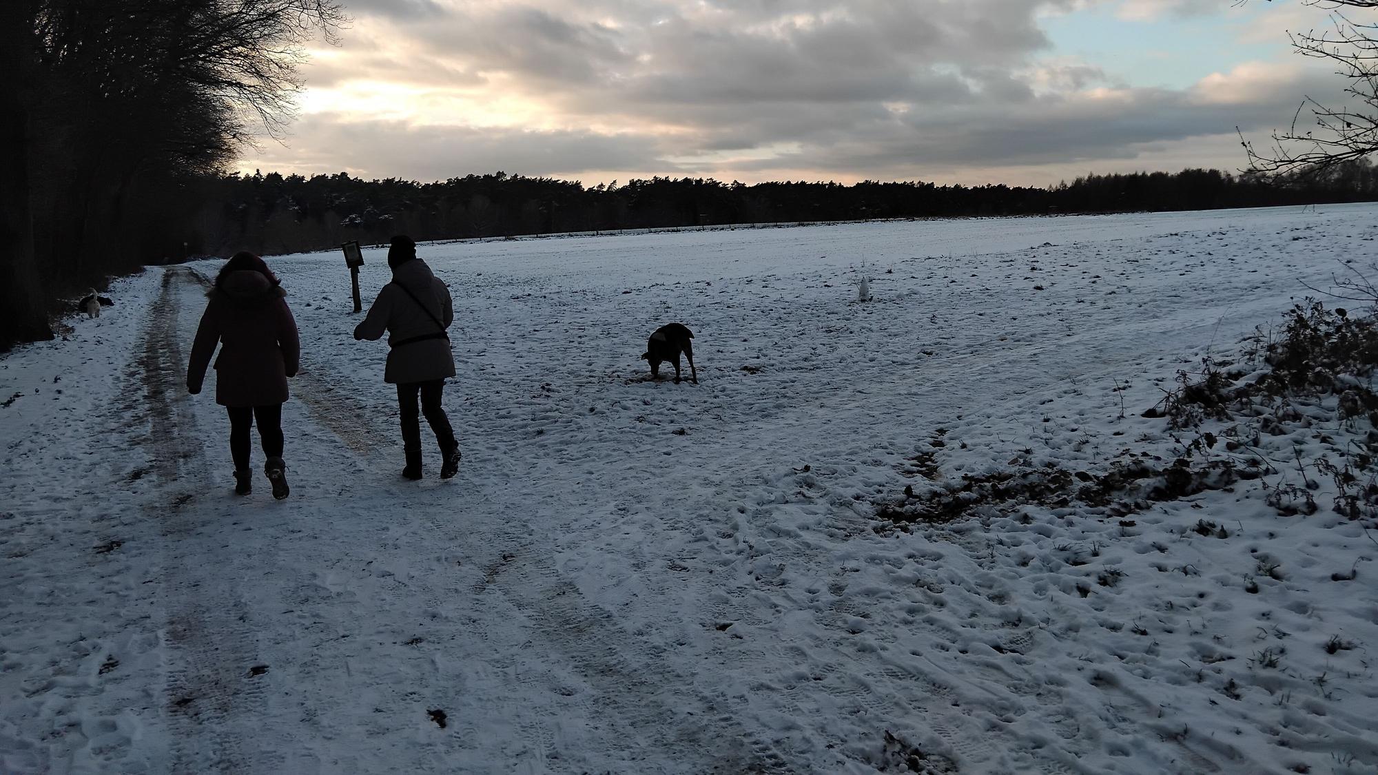 Durchatmen in klarer Luft: Die Schneedecke reichte in Lohmar-Heide noch nicht fürs Rodeln.