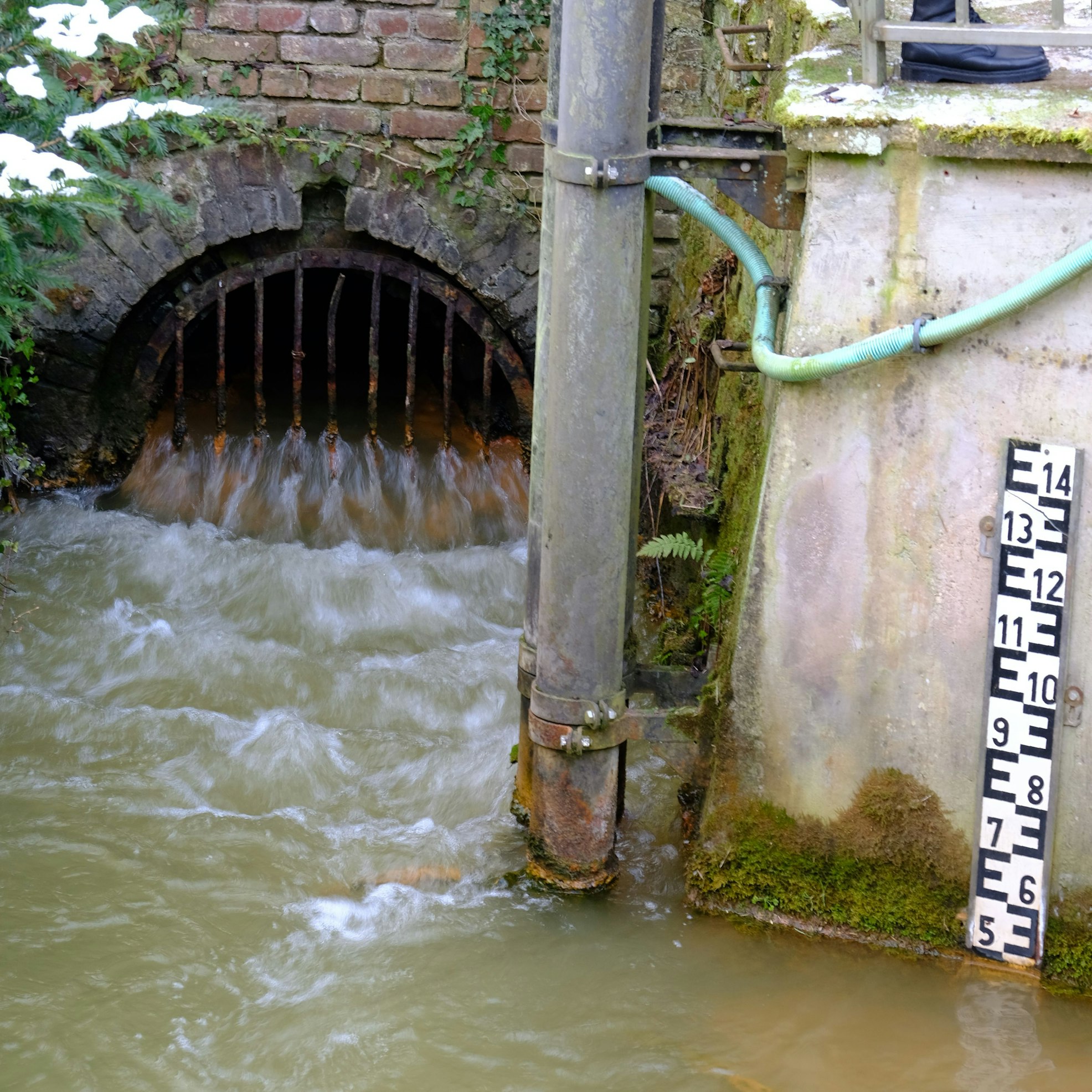 Das Mundloch des Burgfeyer Stollens, rechts ist ein Pegelmessstab zu sehen.