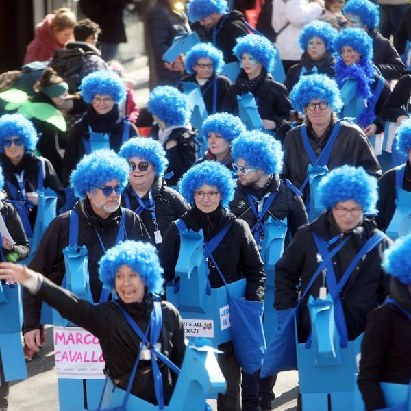 Die Schull- un Veedelszöch sind ein traditioneller Karnevalsumzug im Kölner Karneval.