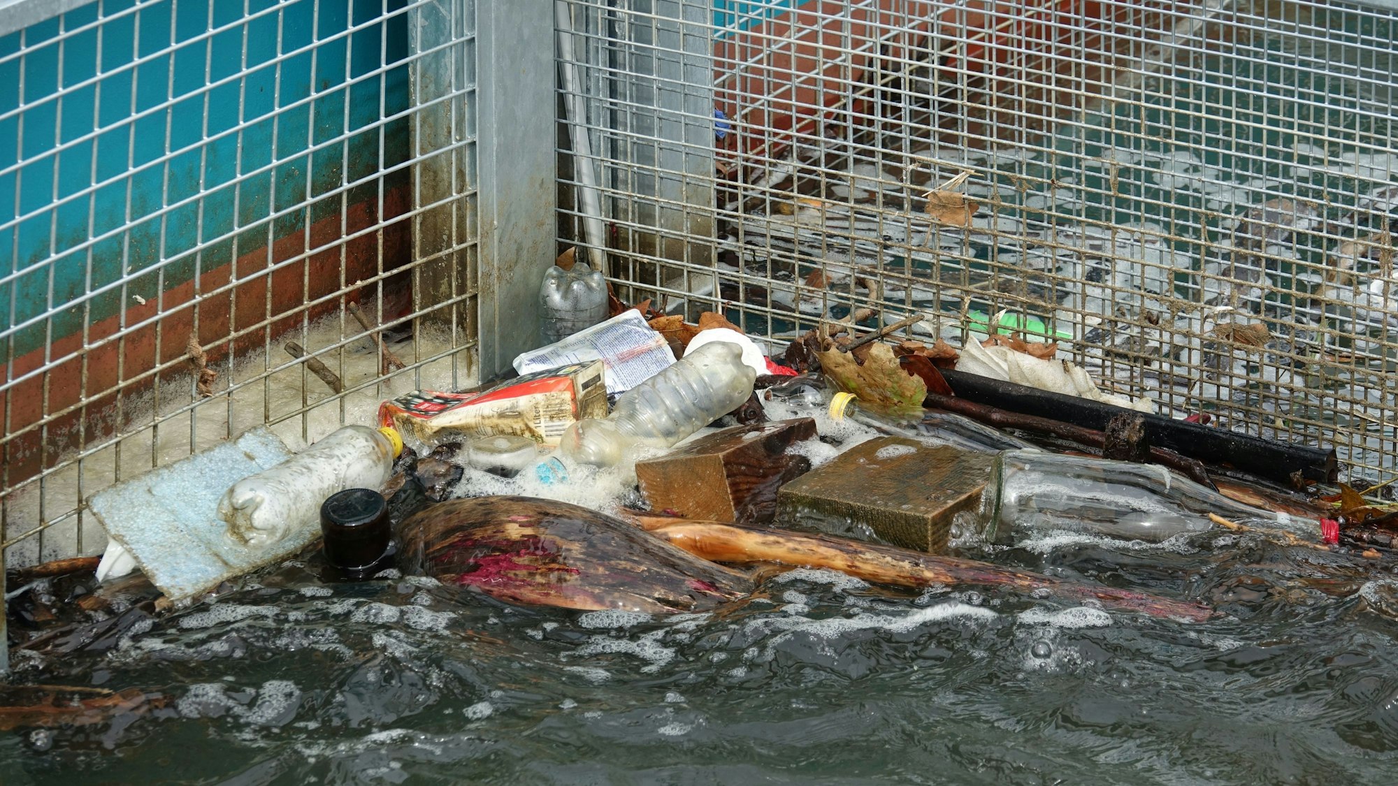 Das Bild zeigt Müll, der sich in den beiden Körben der Müllfalle Rheinkrake verfangen hat. Foto: Leandra Hamann/Nature/dpa+