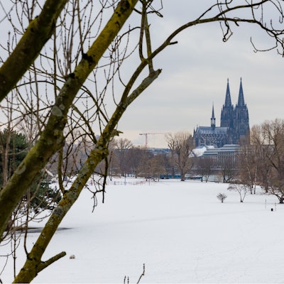 Dom mit Schnee bedeckten Wiesen des Rheinparks im Vordergrund.