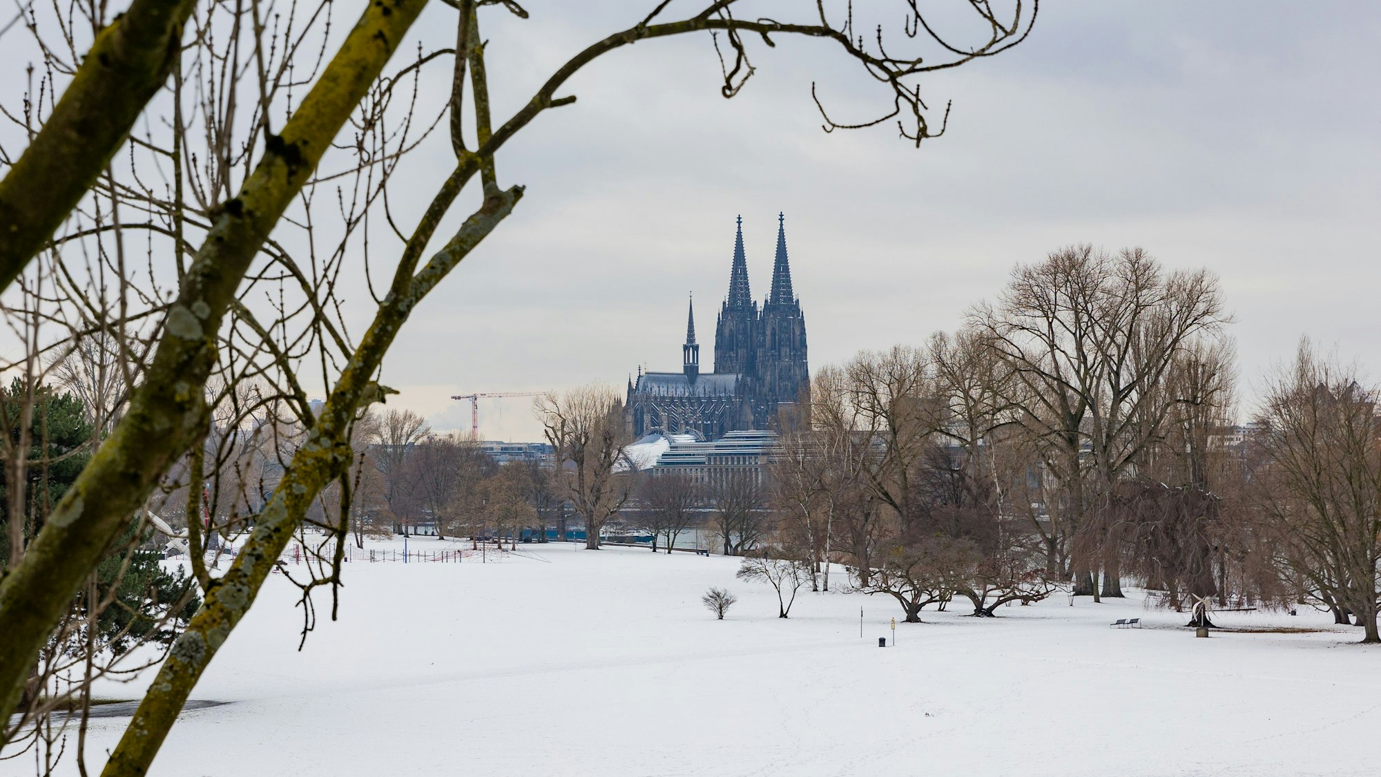 Dom mit Schnee bedeckten Wiesen des Rheinparks im Vordergrund.