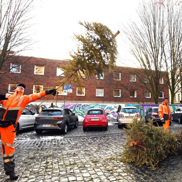 Weihnachten im Abflug: Die Abfallwirtschaftsbetriebe haben mit der Entsorgung der Bäume begonnen.