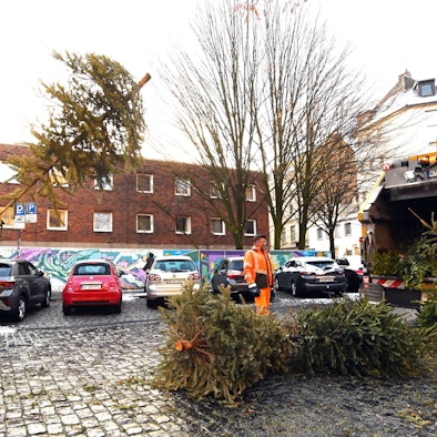 Weihnachten im Abflug: Die Abfallwirtschaftsbetriebe haben mit der Entsorgung der Bäume begonnen.