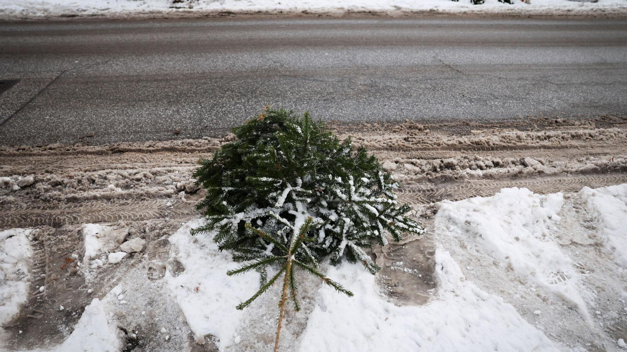 Ein Weihnachtsbaum liegt am Boden.