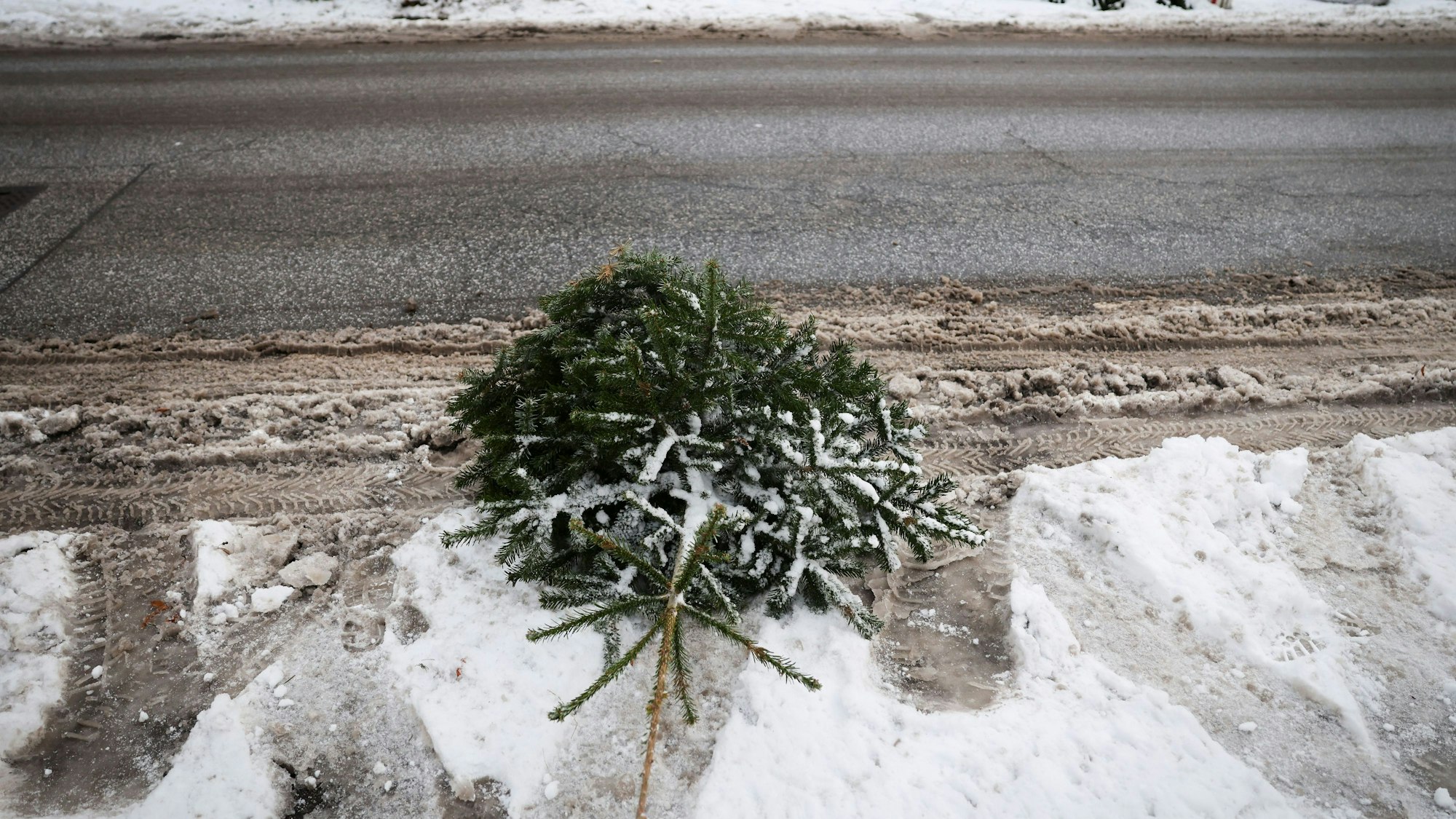 Ein Weihnachtsbaum liegt am Boden.