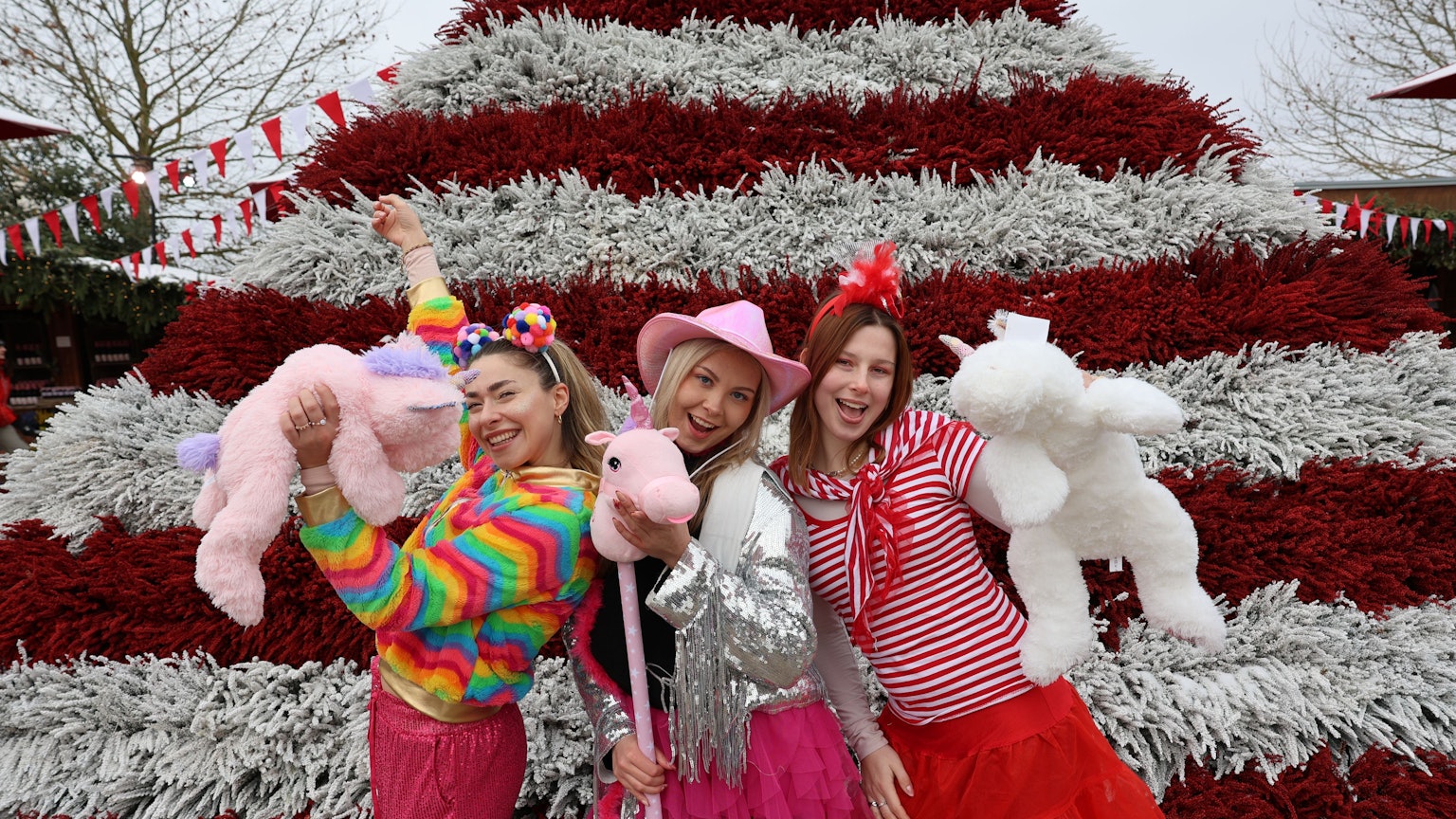 Das Foto zeigt bunt kostümierte Jecke vor der Karnevalspyramide.