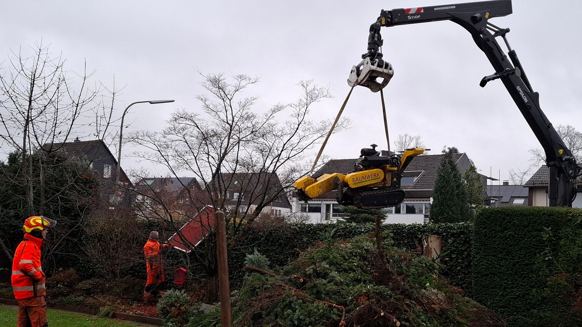 Die Firma Baumwerk bei einem Einsatz.