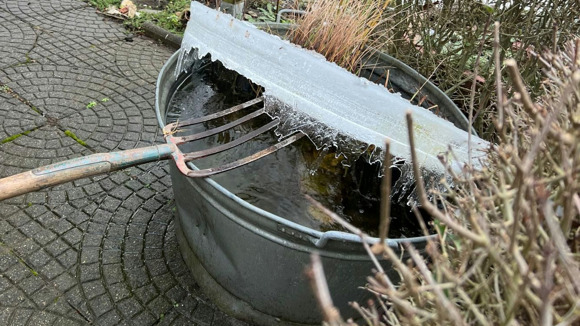 Eisschicht auf einer Zinkwanne im Kleingarten Weidenpesch.