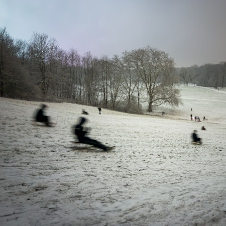 Kinder rodeln Anfang Januar auf Schlitten im Sülzer Beethovenpark den Pilzberg hinab. Hier soll eine Jugendgang unterwegs gewesen sein.