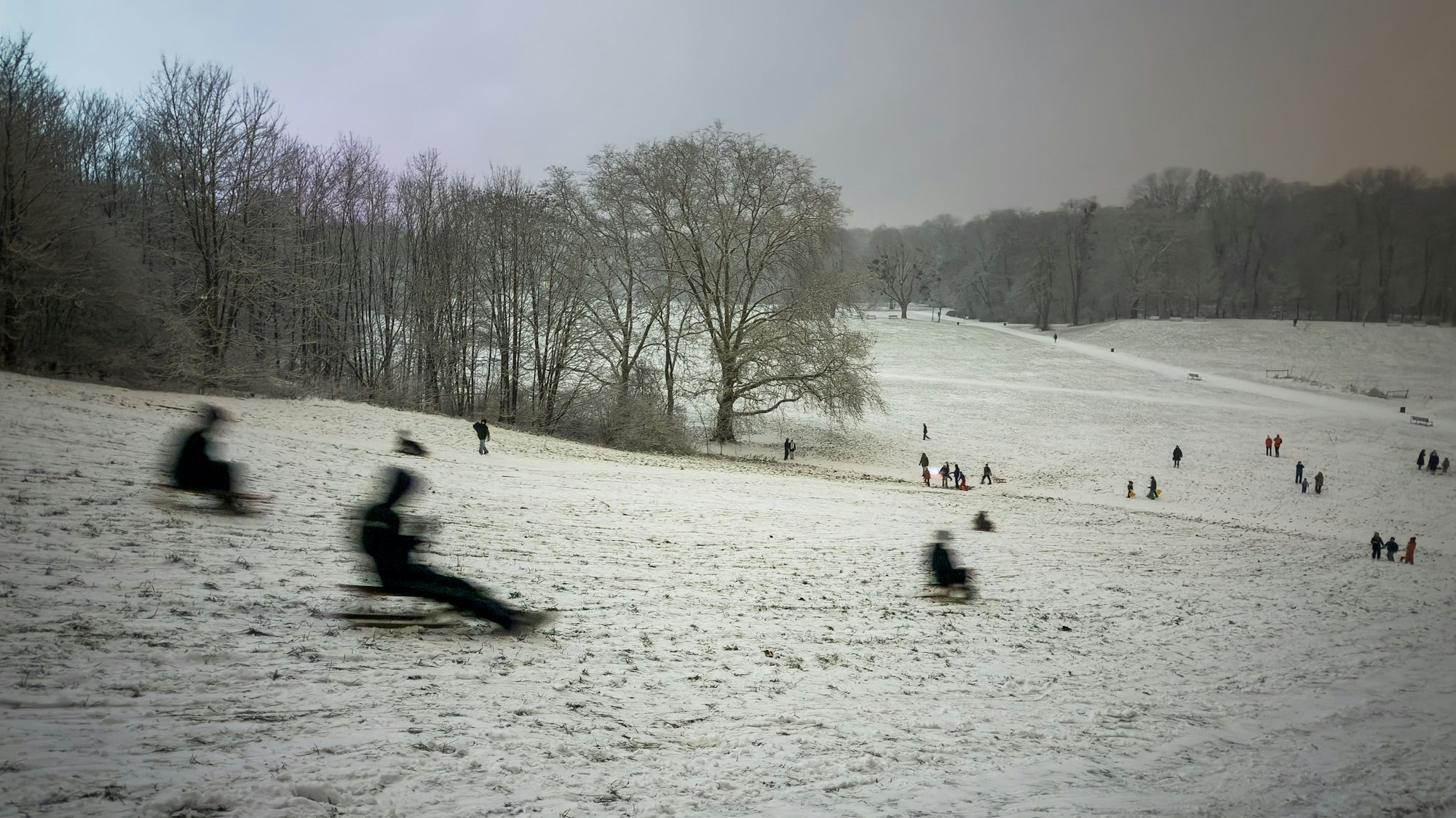 Kinder rodeln Anfang Januar auf Schlitten im Sülzer Beethovenpark den Pilzberg hinab. Hier soll eine Jugendgang unterwegs gewesen sein.