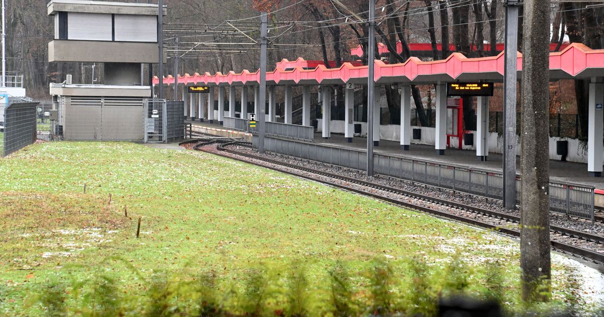 Warum der Umbau der KVB-Haltestelle am Kölner Stadion so teuer wird ...