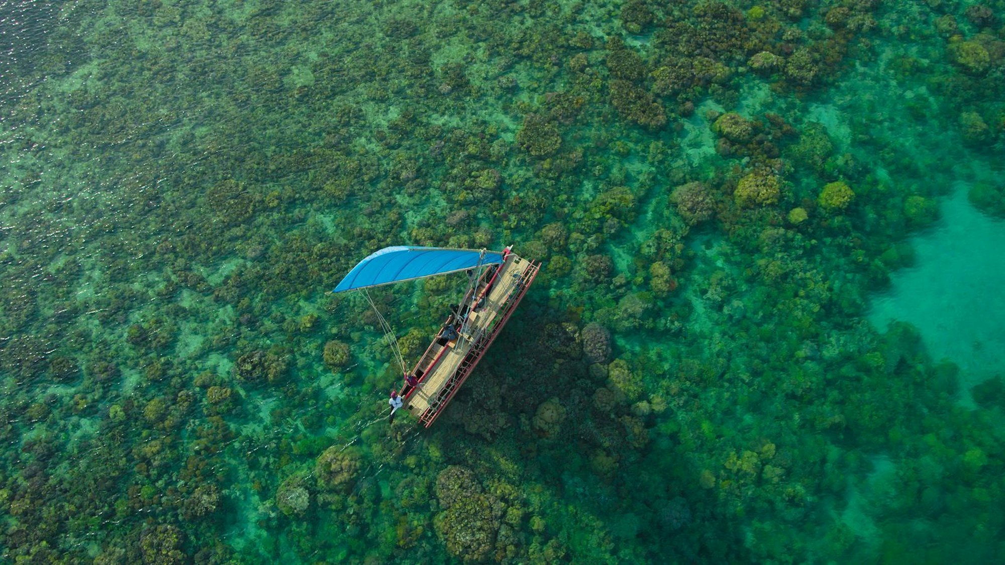 Die siebenteilige Dokumentationsreihe feiert am Montag, den 19. Januar, um 21.45 Uhr, ihre deutsche TV-Premiere auf National Geographic. (Bild: National Geographic)