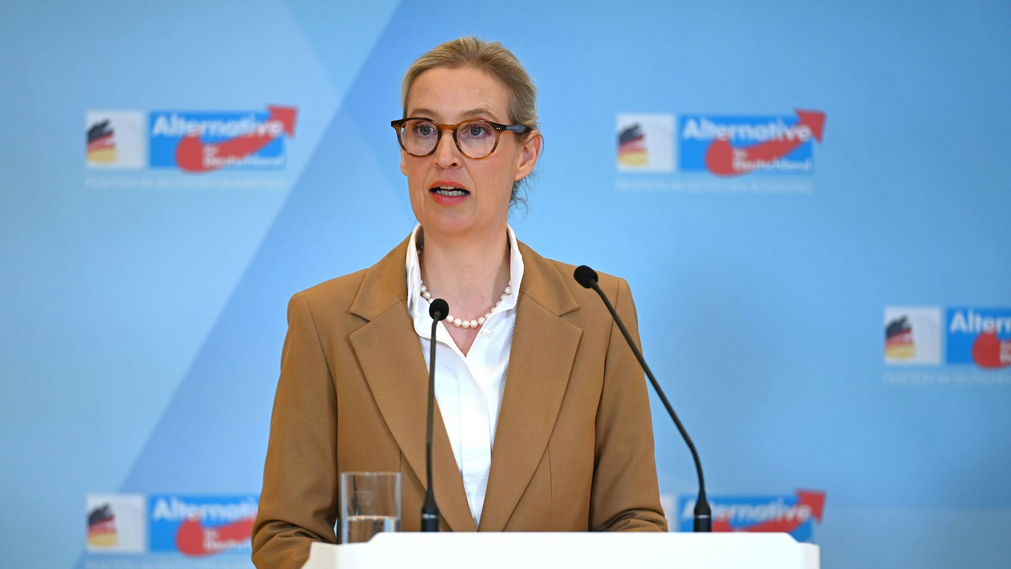 Alice Weidel, Vorsitzende der AfD-Bundestagsfraktion
