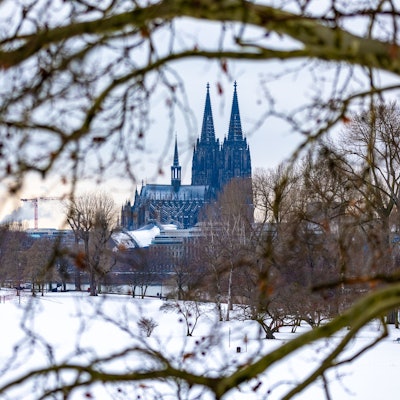 Der Kölner Dom im Winter, Bäume im Rheinpark im Vordergrund.