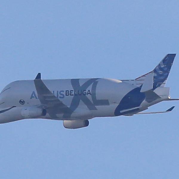 Ein Airbus-Beluga-XL-Transportflugzeug ist im Landeanflug auf einen Flughafen zu sehen. (Archivfoto)