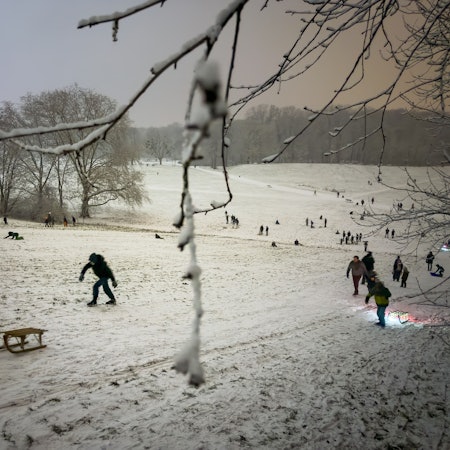 Der Kölner Beethovenpark. (Symbolbild)