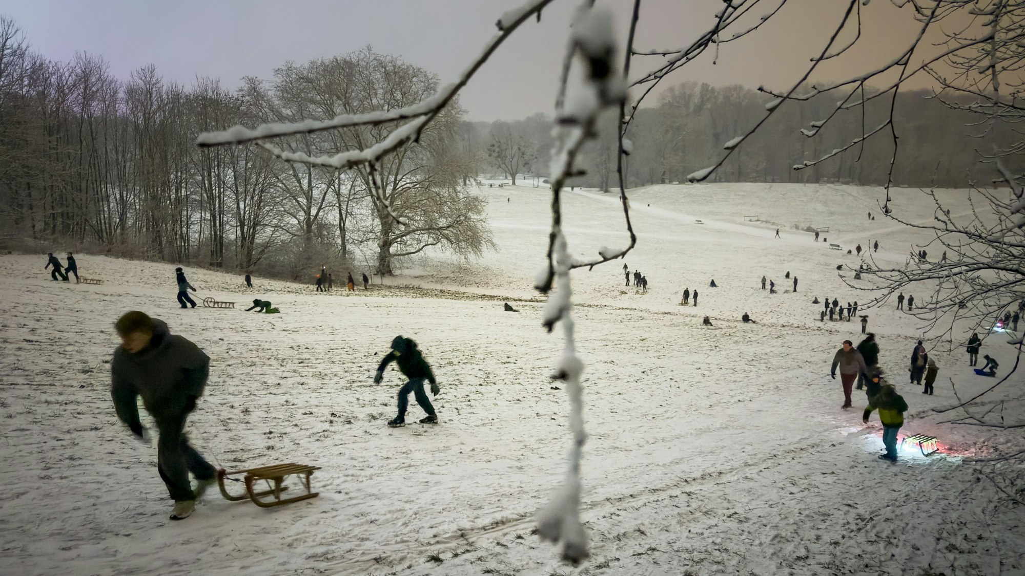 Der Kölner Beethovenpark. (Symbolbild)