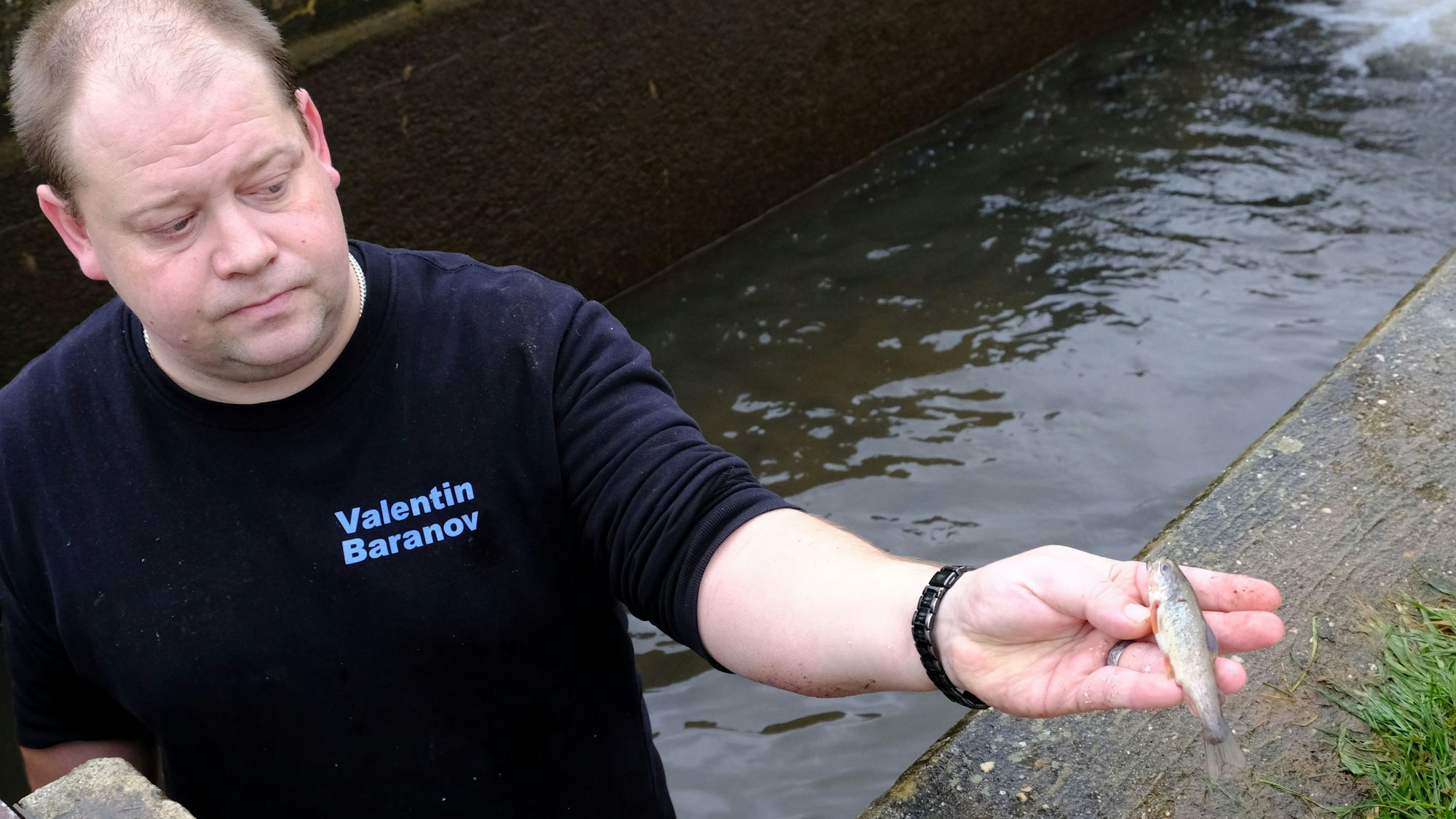 Valentin Baranov hält eine kleine, verendete Bachforelle in der Hand.