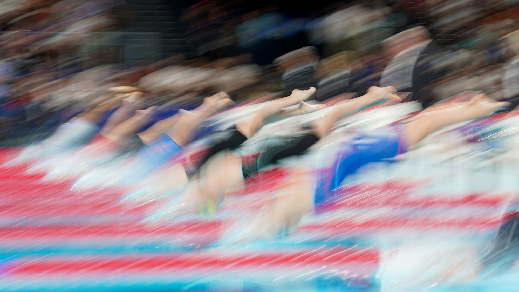 Das Bild zeigt Schwimmerinnen, die vom Startblock abspringen.