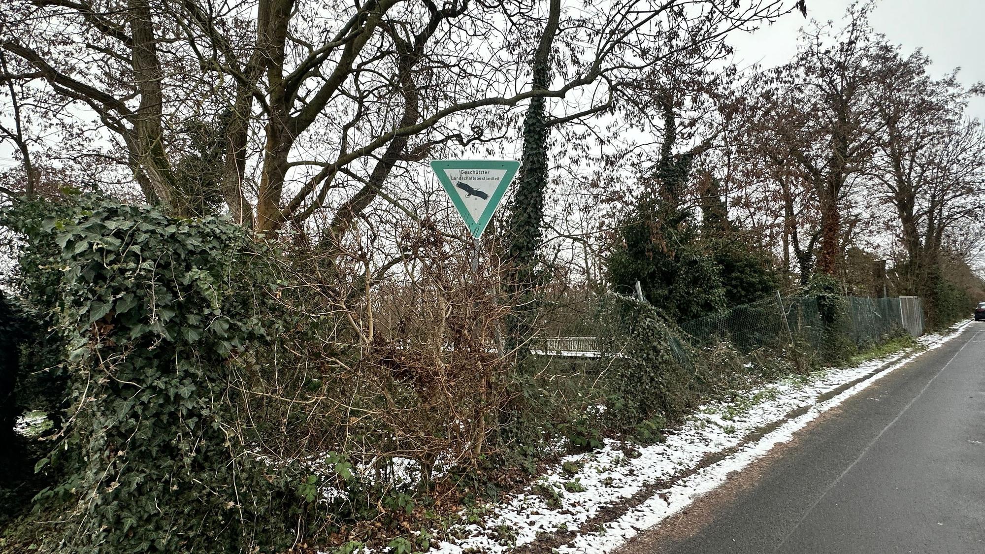 Für die Rodungen Am Kradepohl im Landschaftsschutzgebiet liegt eine Genehmigung vor.