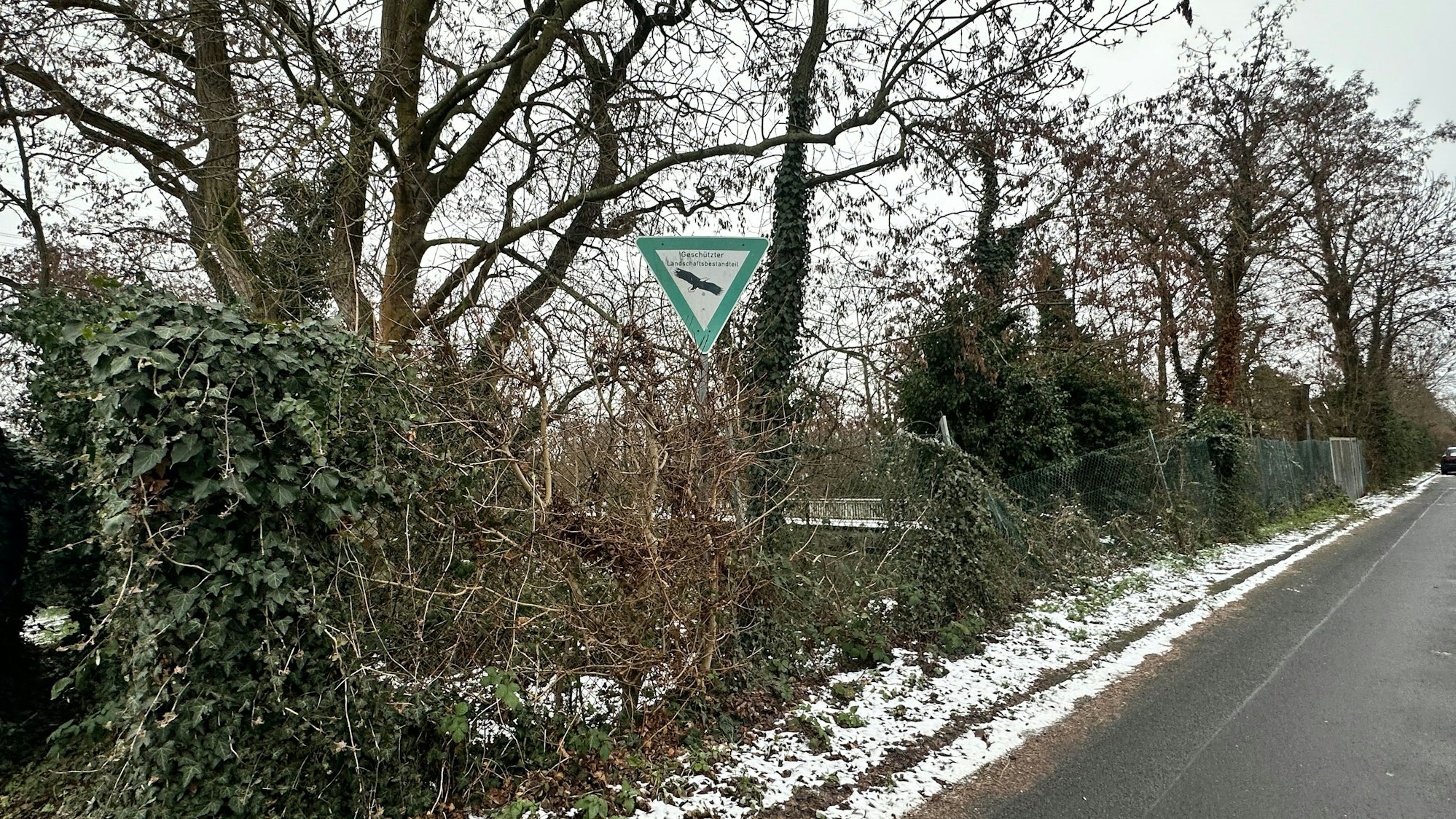 Für die Rodungen Am Kradepohl im Landschaftsschutzgebiet liegt eine Genehmigung vor.