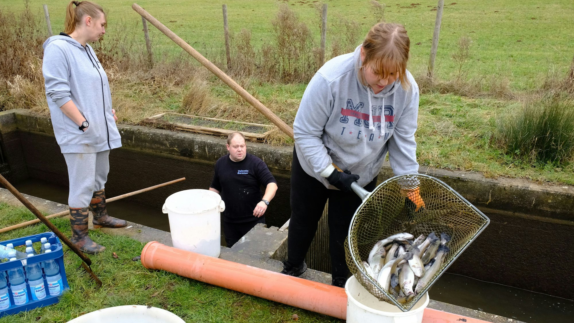 Valentin und seine Frau Anastasia Baranov holen mit einem Köcher tote Forellen aus dem Zuchtbecken. Seine Schwester Xenia unterstützt die beiden.