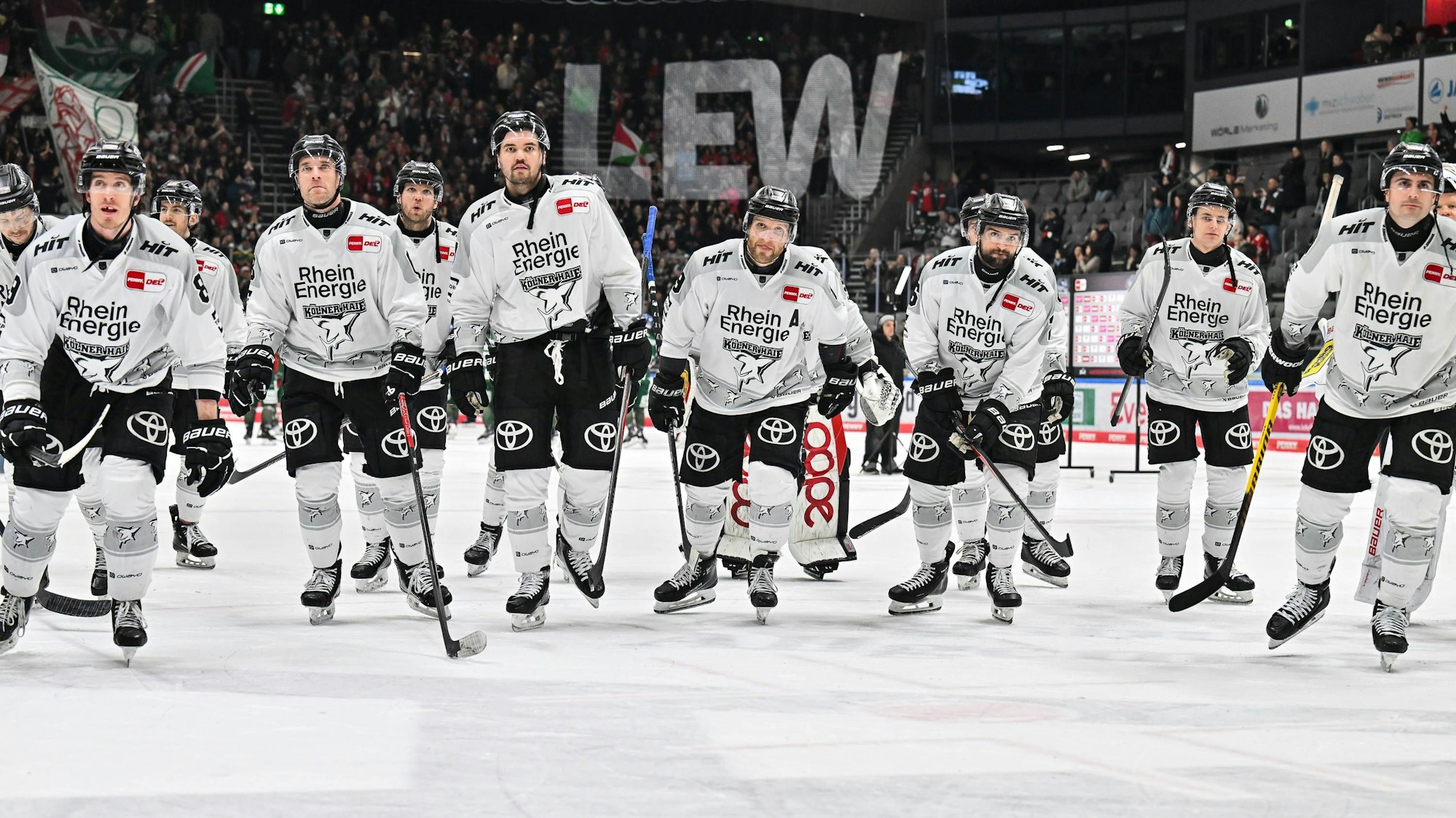 Penny DEL Augsburger Panther - Kölner Haie, 11.01.2026 AUGSBURG, GERMANY - 11. JANUARY: die Haie feiern zusammeb mit den Fans den 3-1 Auswärtssieg in Augsburg während dem Match zwischen den Augsburger Panthern und den Kölner Haien am 39. Spieltag der penny DEL im Curt Frenzel Stadion *** Penny DEL Augsburger Panther Kölner Haie, 11 01 2026 AUGSBURG, GERMANY 11 JANUARY the sharks celebrate together with the fans the 3 1 away win in Augsburg during the match between the Augsburger Panther and the Kölner Haie on matchday 39 of the penny DEL at the Curt Frenzel stadium Copyright: xBEAUTIFULxSPORTS/Goldbergx