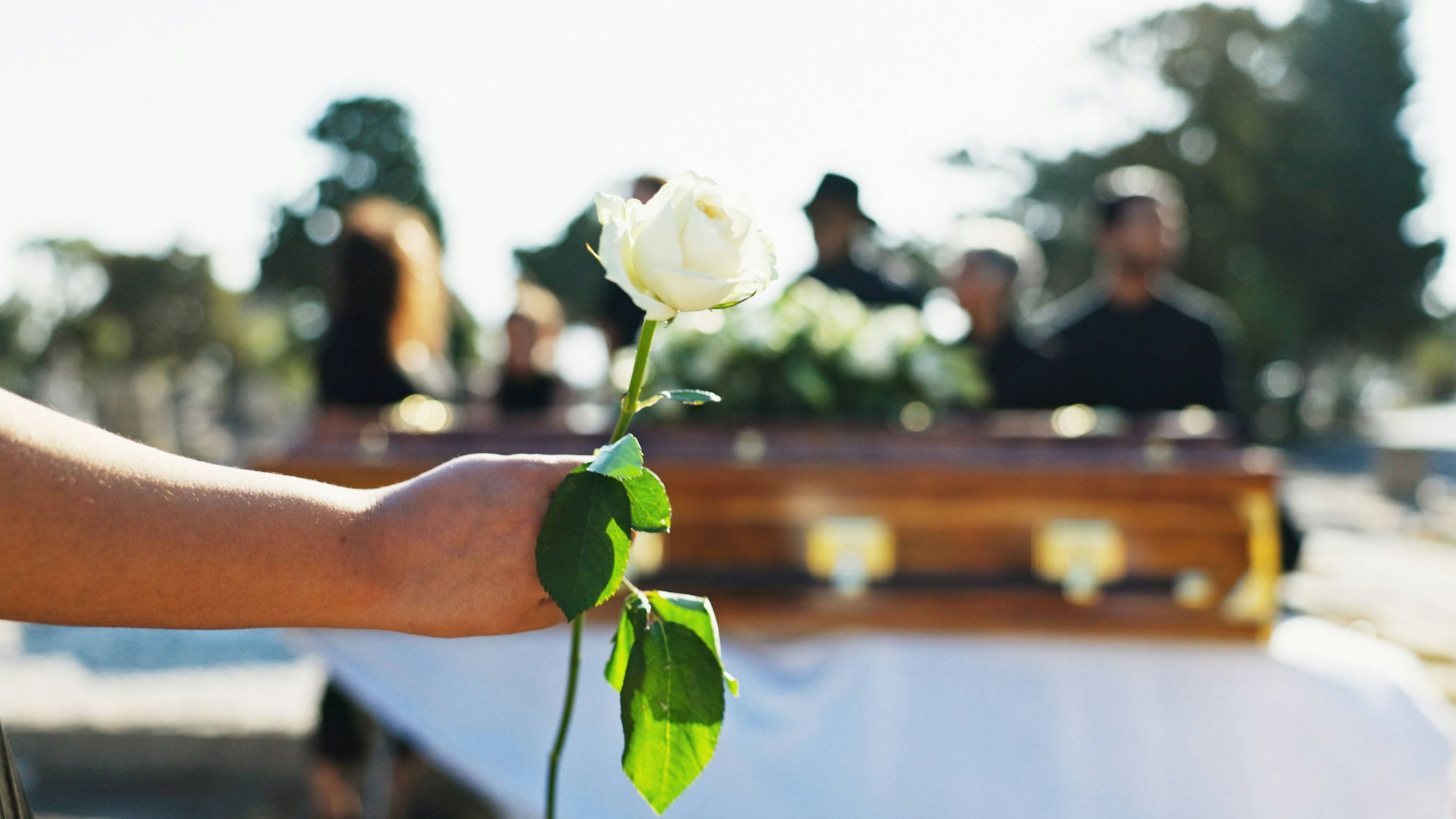 Eine Frau legt zum Andenken an eine verstorbene Person eine Blume auf einem Sarg ab. (Symbolfoto)