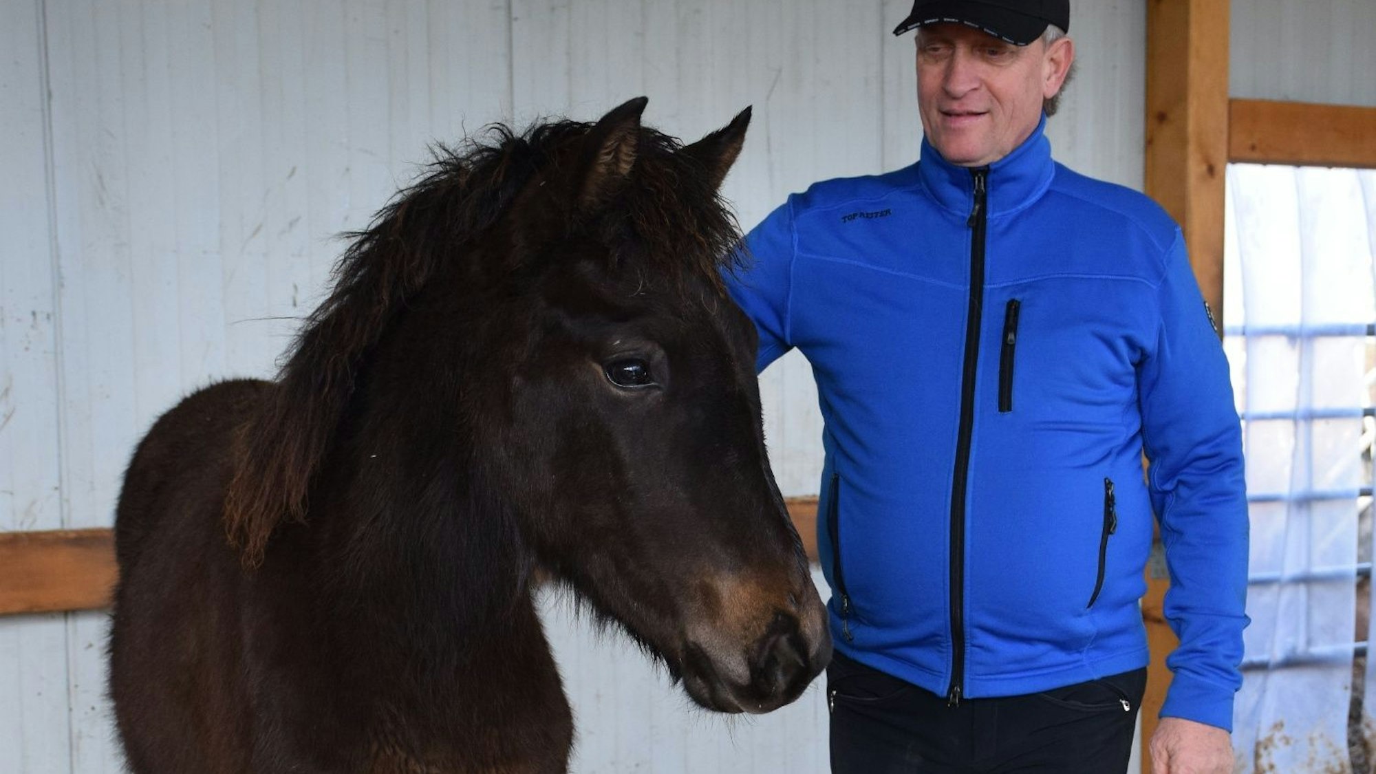 Züchter Achim Nelles steht in einer royalblauen Jacke neben einem Islandpferde-Fohlen.
