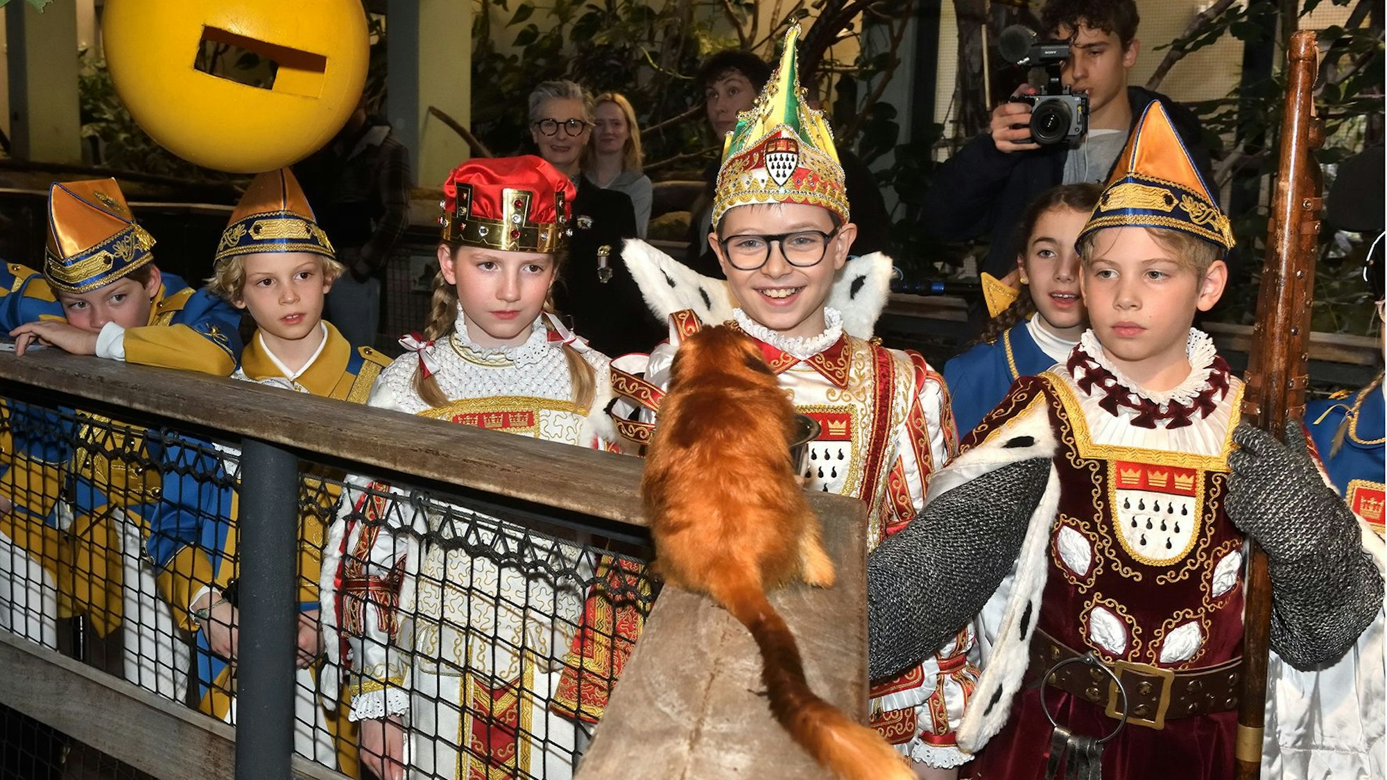 Das Kinderdreigestirn bestaunt im Kölner Zoo Löwenäffchen aus nächster Nähe.