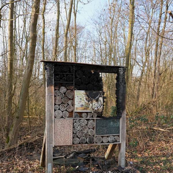 Zu sehen ist ein Insektenhotel aus Holz. Das Feuer hat ein Loch in das Holz gefressen, das in Teilen schwarz geworden ist.