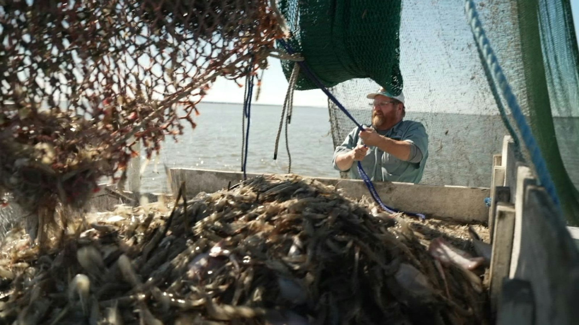 Shrimp-Fischer Craig Reaves findet Trump (immer noch) gut, weil er wegen der Strafzölle mit den asiatischen Biligimporten mithalten kann. Seine Schwester sagt: „Manchmal sollte Trump lieber die Klappe halten.“ (Bild: ZDF/Fabian Gatza)