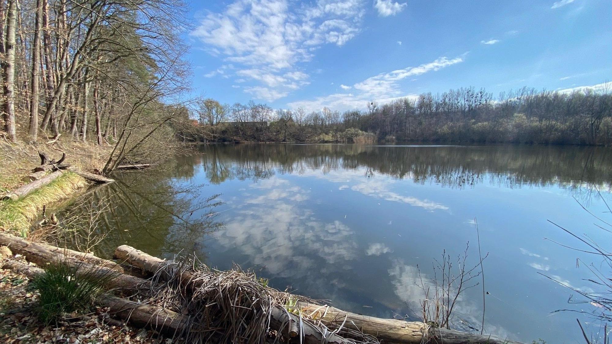 Die Grünen wollen sich zusammen mit Vereinen und Initiativen für den Erhalt des Naturschutzgebietes rund um den Ententeich einsetzen. Interesse an der Nutzung des Areals für weitere Bauten hat das Phantasialand.
