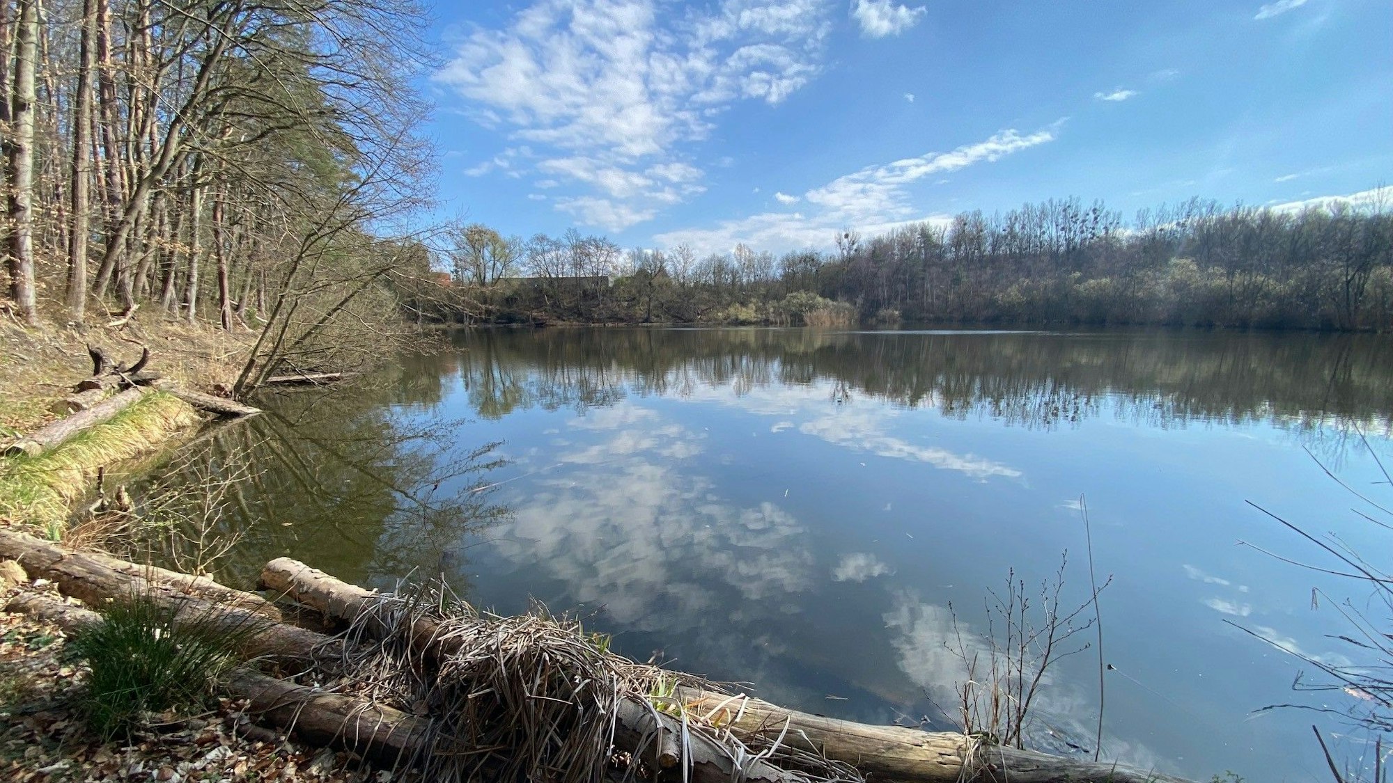Die Grünen wollen sich zusammen mit Vereinen und Initiativen für den Erhalt des Naturschutzgebietes rund um den Ententeich einsetzen. Interesse an der Nutzung des Areals für weitere Bauten hat das Phantasialand.