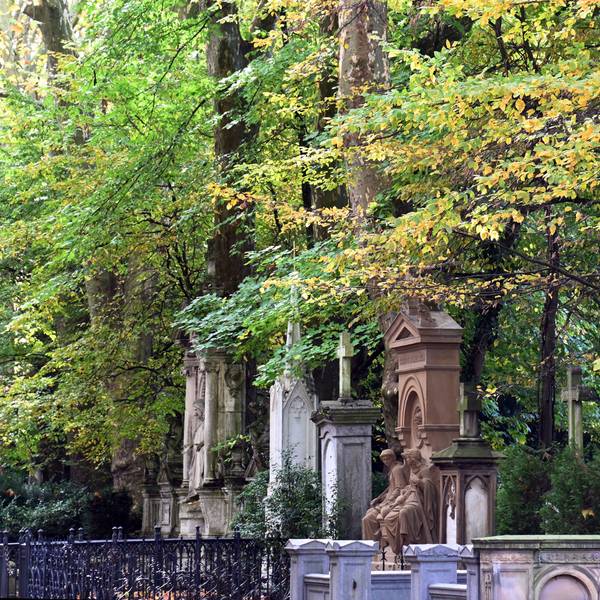 24.10.2025 Köln. Herbst 2025. Allgemeine Aufnahmen des Melatenfriedhof (Friedhof Melaten) in Köln. Im Herbst bietet sich mit den bunten Blättern an den Bäumen auf den Kölner Friedhöfen eine besondere Stimmung. Foto: Alexander Schwaiger