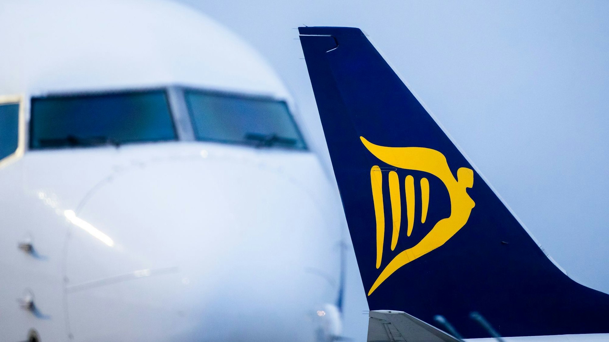 Ryanair will seine Flugzeuge nicht für Elon Musks Satelliten-Internet Starlink fit machen. (Archivbild)