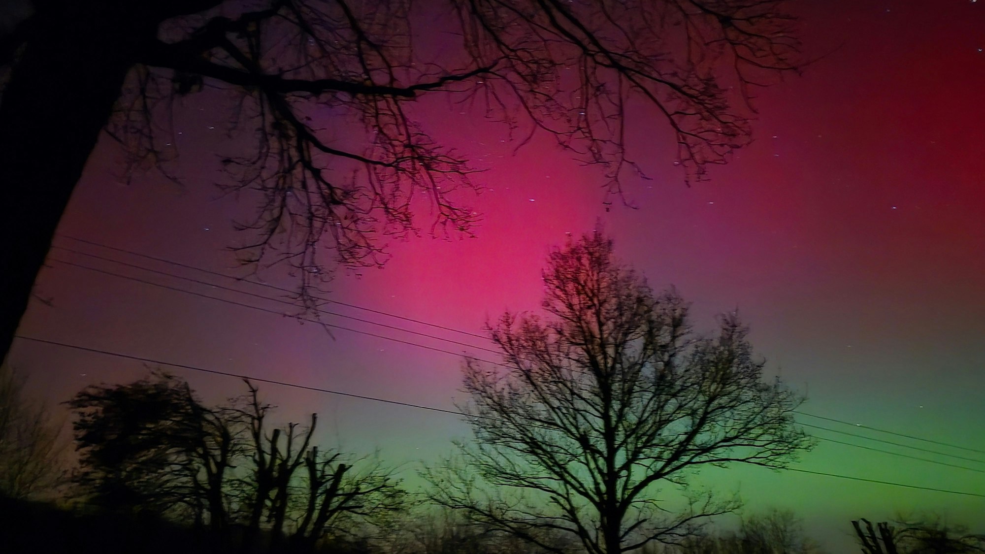 Das nächtliche Foto zeigt rote und grüne Polarlichter am Himmel, dazu einige Bäume