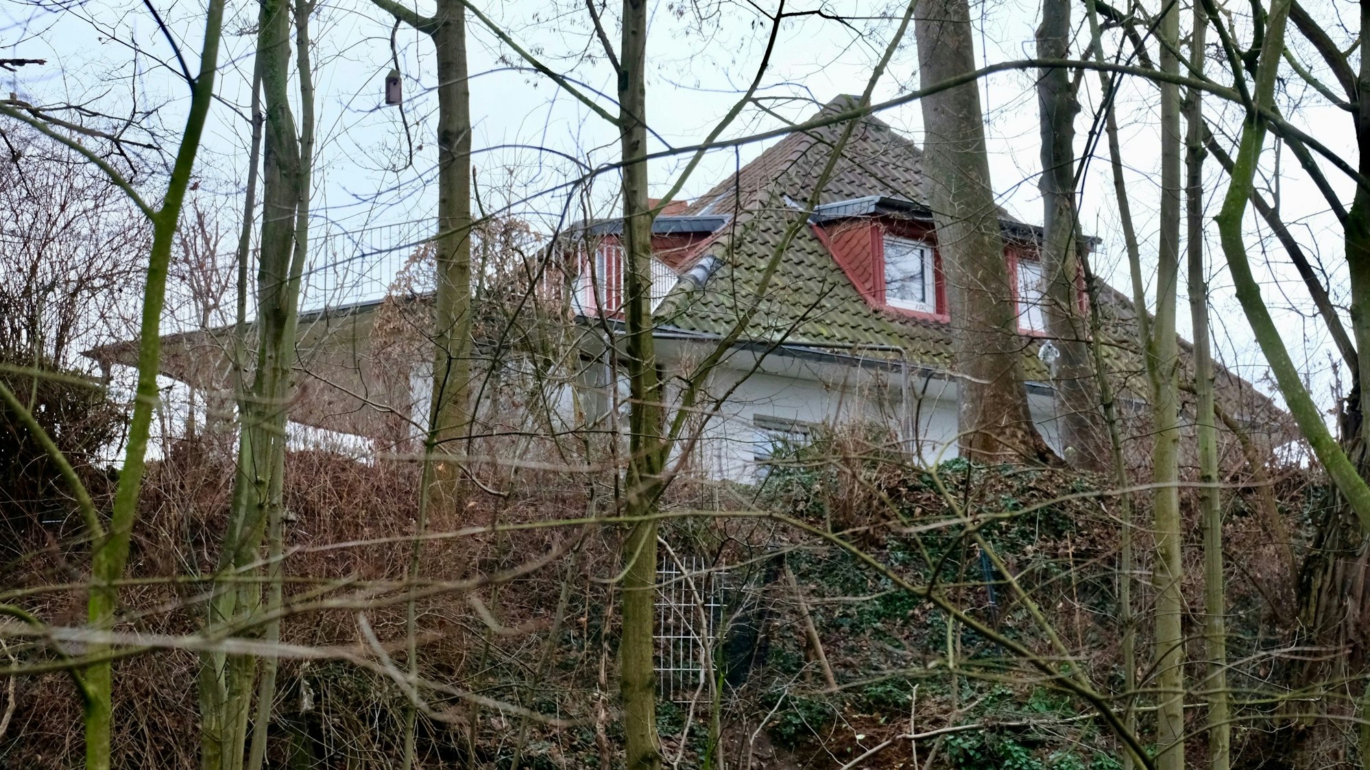Hinter einem Wald ist ein großzügiges Einfamilienhaus zu erkennen.
