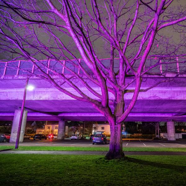 Durchs Rasen-Pflanzlicht von Bayer 04 sieht es an der Stelze aus wie bei einer Party. Ein Funken Wahrheit ist da dran: Unter der Autobahn treffen sich regelmäßig Raser und Autoposer.