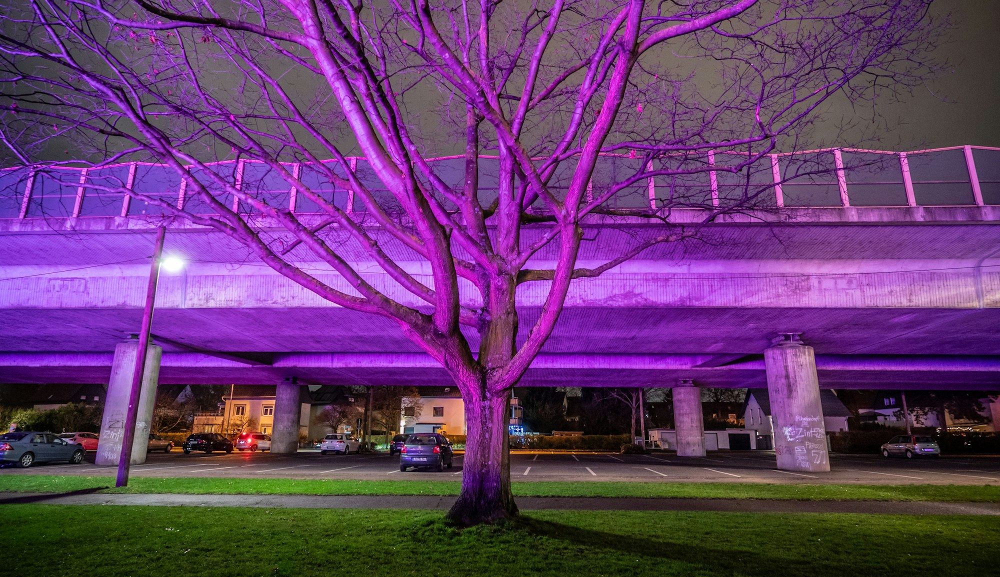 Durchs Rasen-Pflanzlicht von Bayer 04 sieht es an der Stelze aus wie bei einer Party. Ein Funken Wahrheit ist da dran: Unter der Autobahn treffen sich regelmäßig Raser und Autoposer.