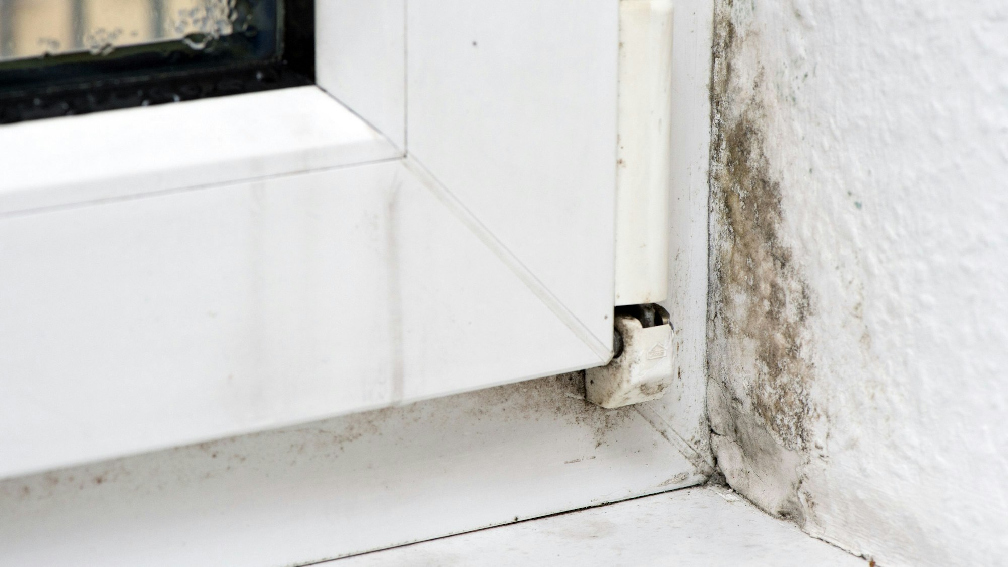 Schimmel an einer Wand neben einem Fenster