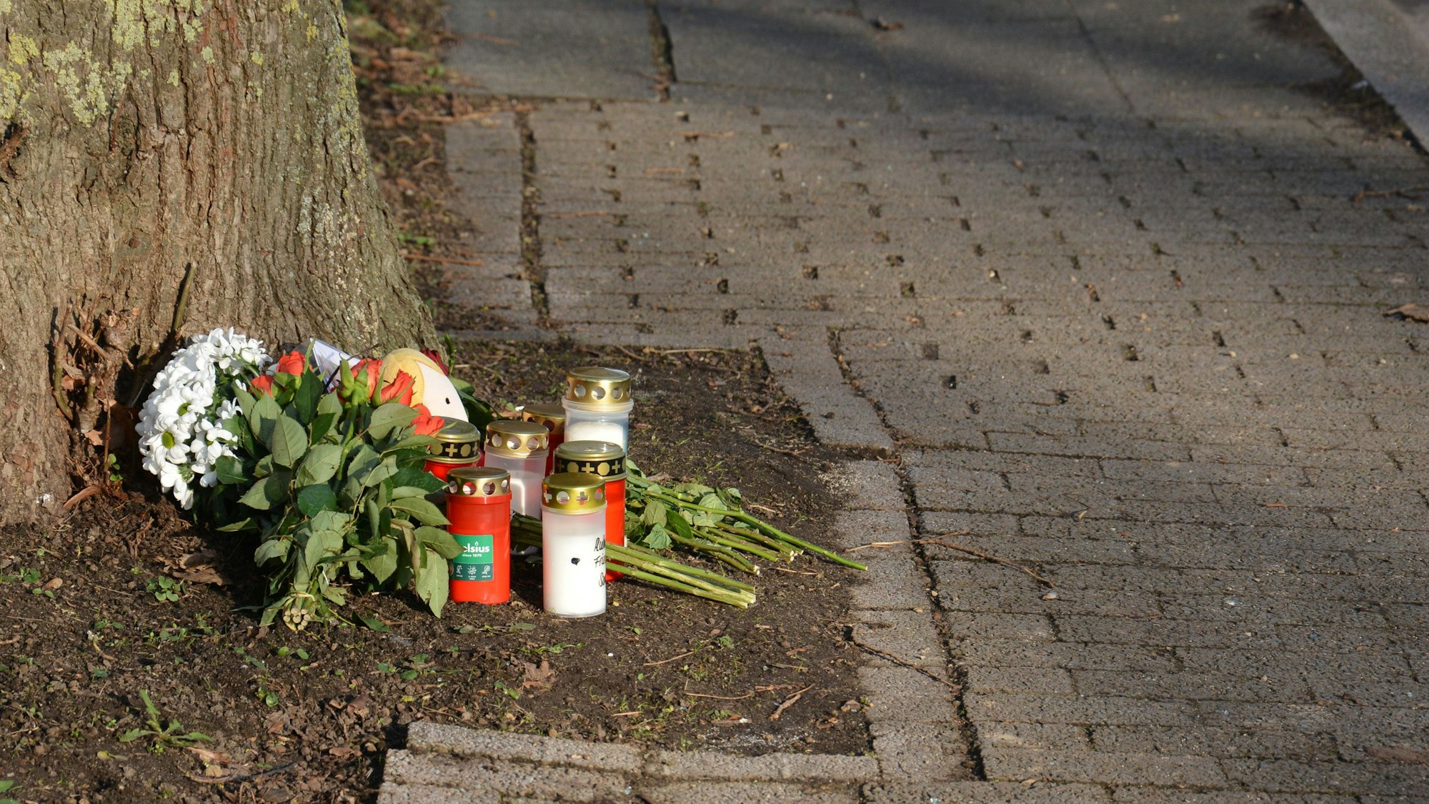 Das Bild zeigt Blumen und Kerpen an einem Baum.