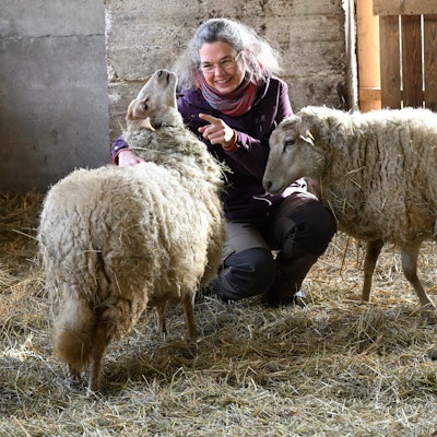 Eine lächelnde Frau hockt im Stall zwischen zwei wolligen Schafen, die sich an sie drängen.
