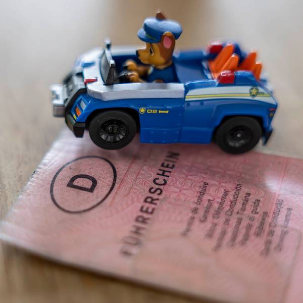 Das Bild zeigt einen Papierführerschein, der nun getauscht werden muss und ein Spielzeugauto, in dem eine Hundefigur sitzt.