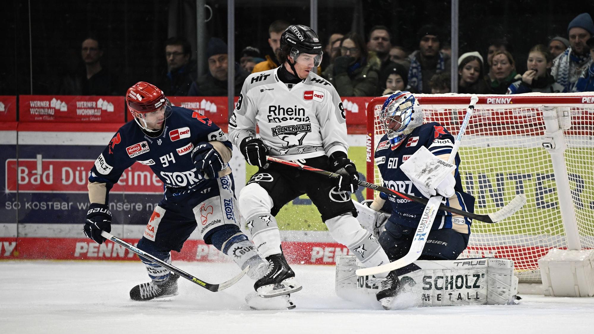 v.l.n.r. Phil Hungerecker Schwenninger Wild Wings Gregor Macleod Koelner Haie Joacim Eriksson Schwenninger Wild Wings Schwenninger Wild Wings gegen Koelner Haie, DEL, Hauptrunde, Spieltag 42, Saison 2025/2026, 20260123 Schwenninger Wild Wings gegen Koelner Haie, DEL, Hauptrunde, Spieltag 42, Saison 2025/2026, 20260123 Schwenningen *** f l n r Phil Hungerecker Schwenninger Wild Wings Gregor Macleod Koelner Haie Joacim Eriksson Schwenninger Wild Wings Schwenninger Wild Wings vs Koelner Haie, DEL, Main Round, Matchday 42, Season 2025 2026, 20260123 Schwenninger Wild Wings vs Koelner Haie, DEL, Main Round, Matchday 42, Season 2025 2026, 20260123 Schwenningen Copyright: xEibner-Pressefoto/SvenxLaeglerx EP_SVL