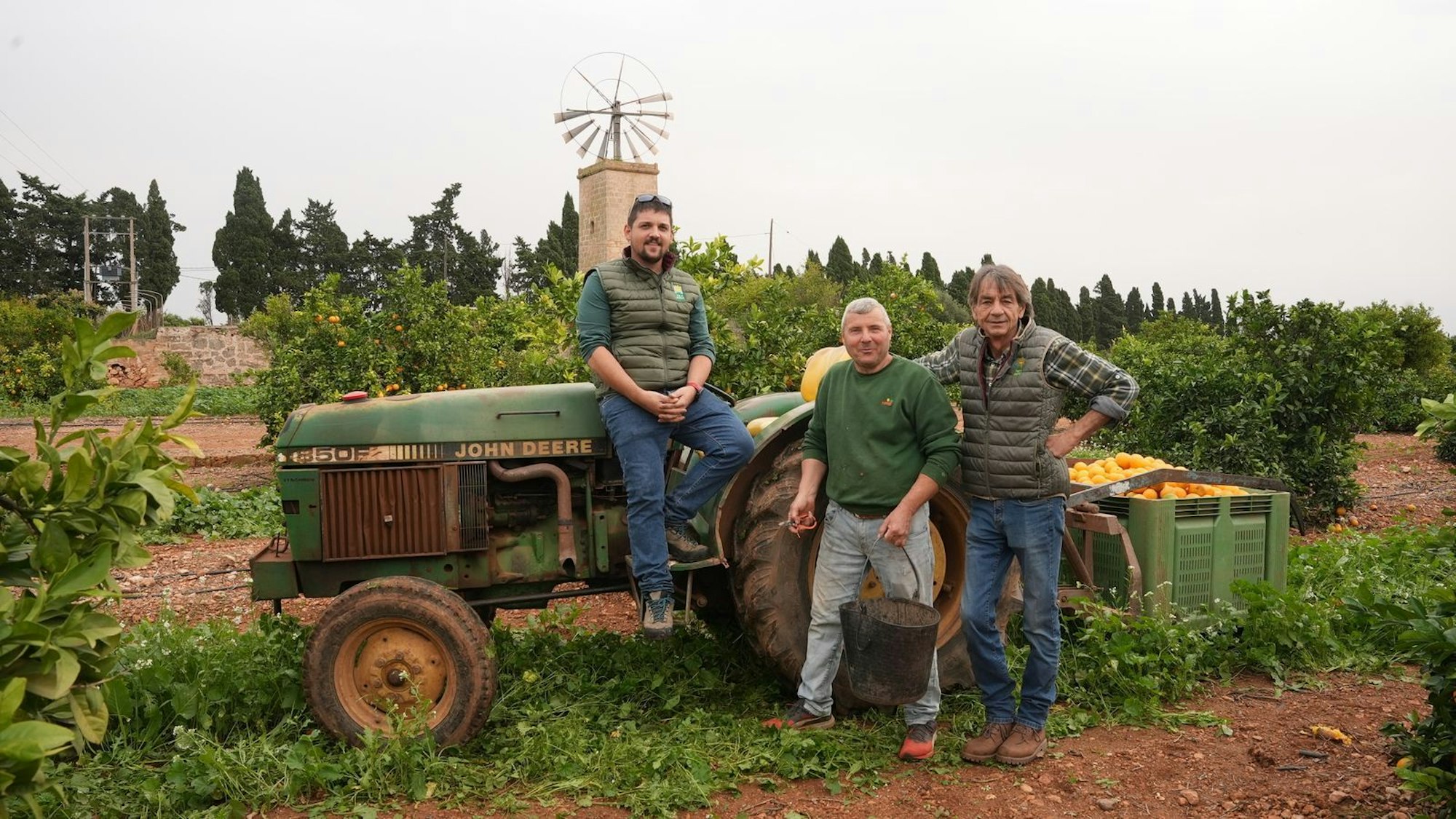 Die Orangenernte hält die Landwirte auf Mallorca auf Trab. Von links: Franz Kraus, Lluis Colom Gollini und Stefan Livida (Bild: ZDF/Carlos Herrera Perez)
