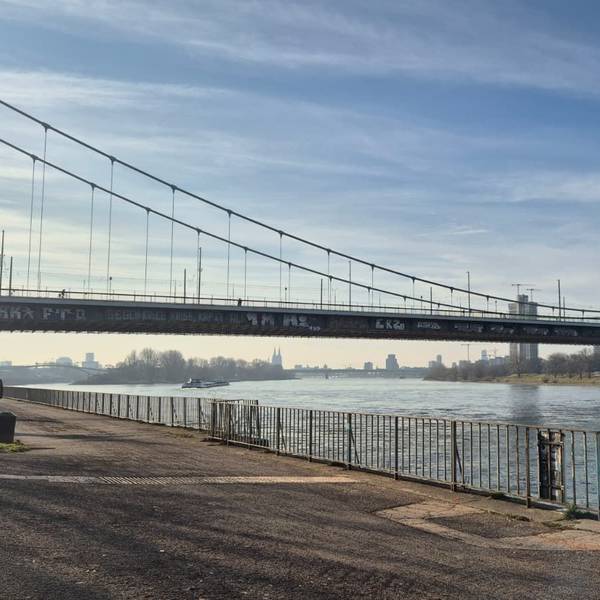 Die Geländer auf der Mülheimer Brücke.