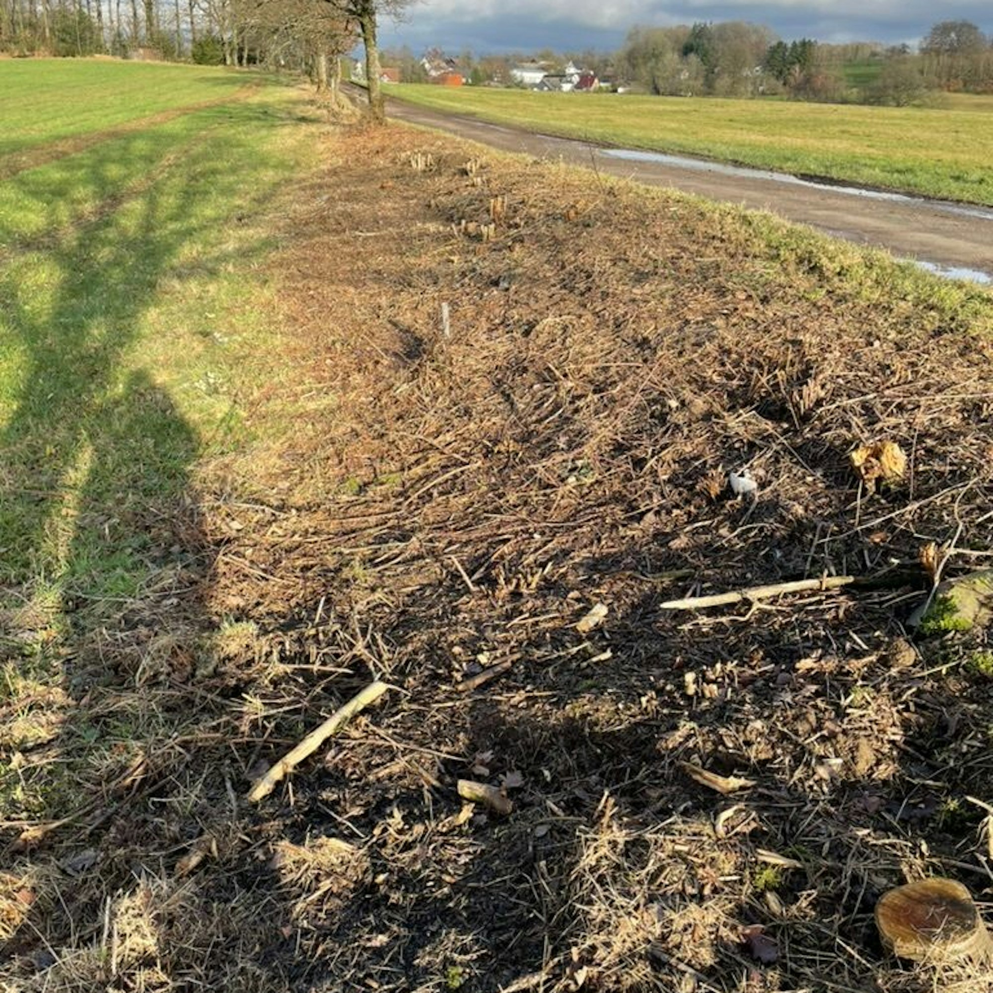 Von der Wildhecke ist nichts übrig geblieben, wie dieses Foto zeigt.