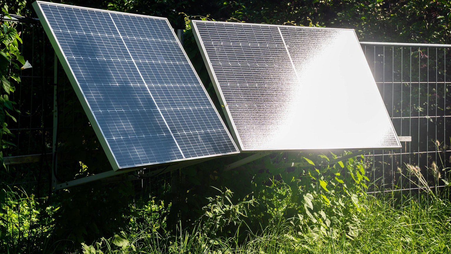 Zwei Solarmodule in grüner Umgebung bei Sonne.